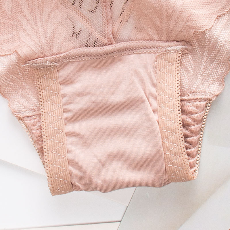 Multi-Pack Cotton Panties for Women